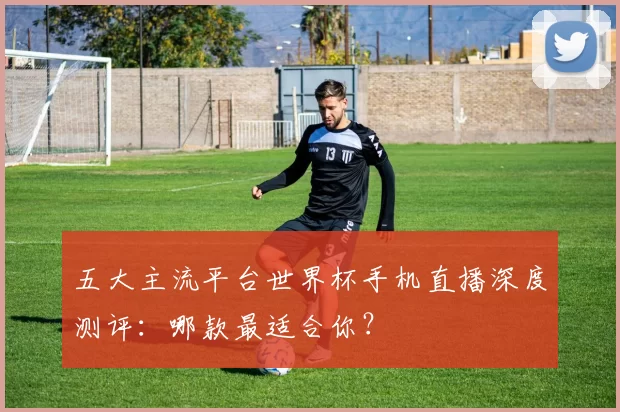 五大主流平台世界杯手机直播深度测评:哪款最适合你?