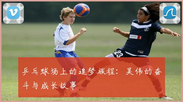 乒乓球场上的追梦旅程：吴伟的奋斗与成长故事