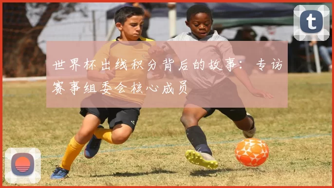 世界杯出线积分背后的故事:专访赛事组委会核心成员