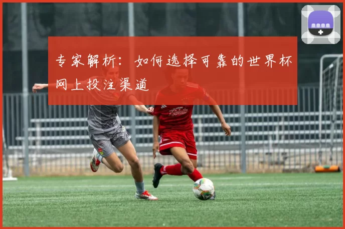 专家解析:如何选择可靠的世界杯网上投注渠道