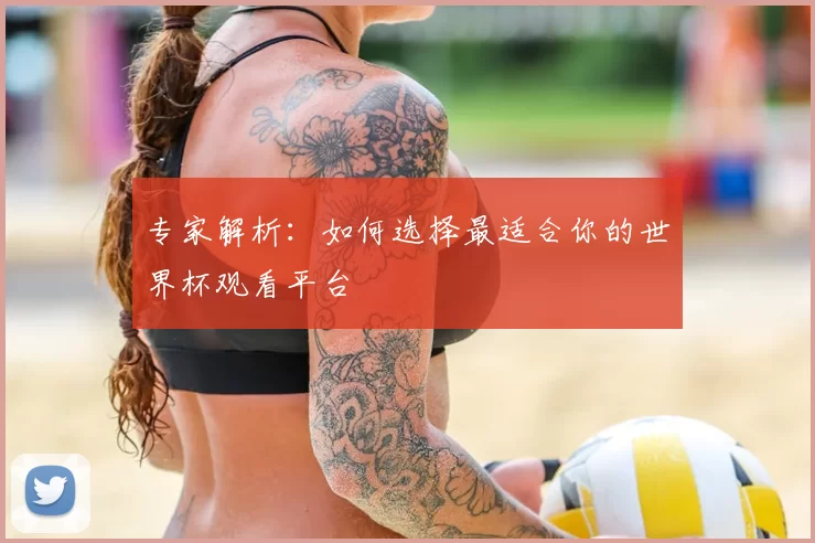 专家解析:如何选择最适合你的世界杯观看平台