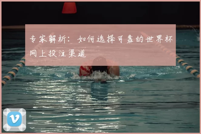 专家解析:如何选择可靠的世界杯网上投注渠道