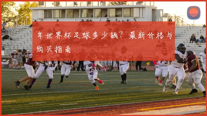 年世界杯足球多少钱？最新价格与购买指南