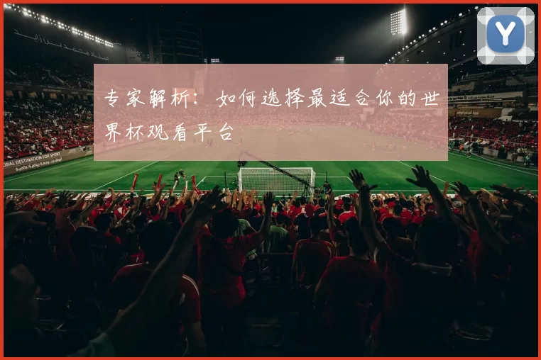 专家解析:如何选择最适合你的世界杯观看平台