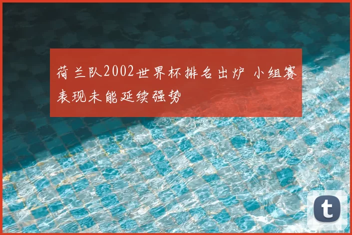 荷兰队2002世界杯排名出炉 小组赛表现未能延续强势