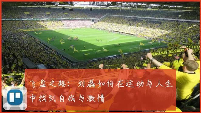 飞盘之路：刘磊如何在运动与人生中找到自我与激情
