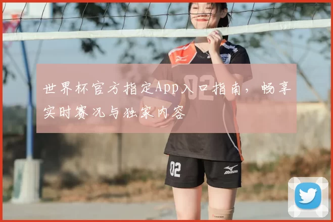 世界杯官方指定App入口指南,畅享实时赛况与独家内容