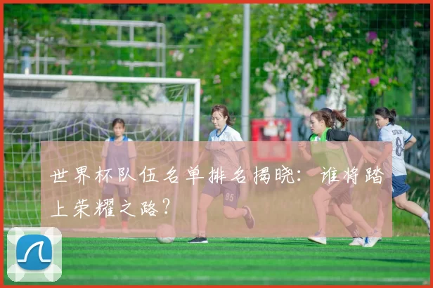 世界杯队伍名单排名揭晓:谁将踏上荣耀之路?