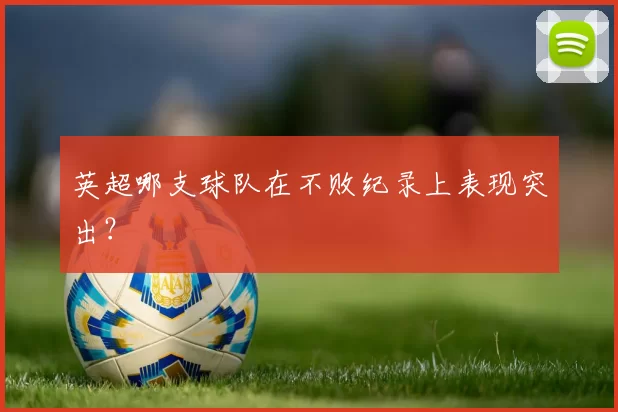 英超哪支球队在不败纪录上表现突出?