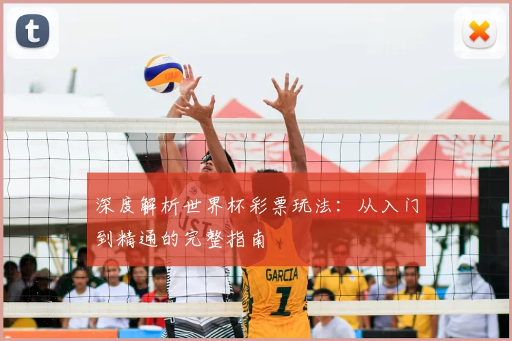 深度解析世界杯彩票玩法：从入门到精通的完整指南