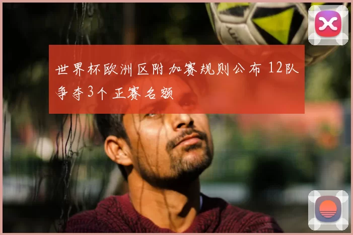 世界杯欧洲区附加赛规则公布 12队争夺3个正赛名额