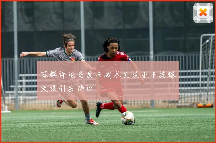 苏群评论乌度卡战术失误小卡接球失误引发热议